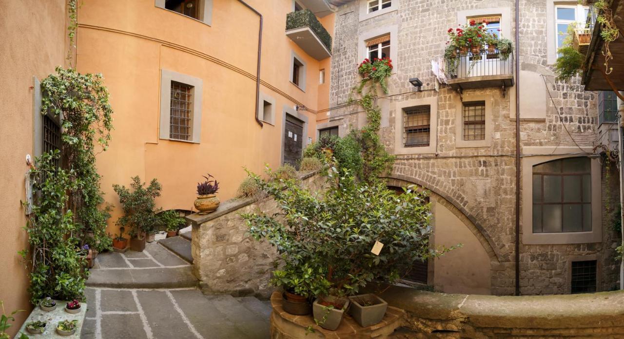 Apartament La Rosa Scarlatta Viterbo Zewnętrze zdjęcie